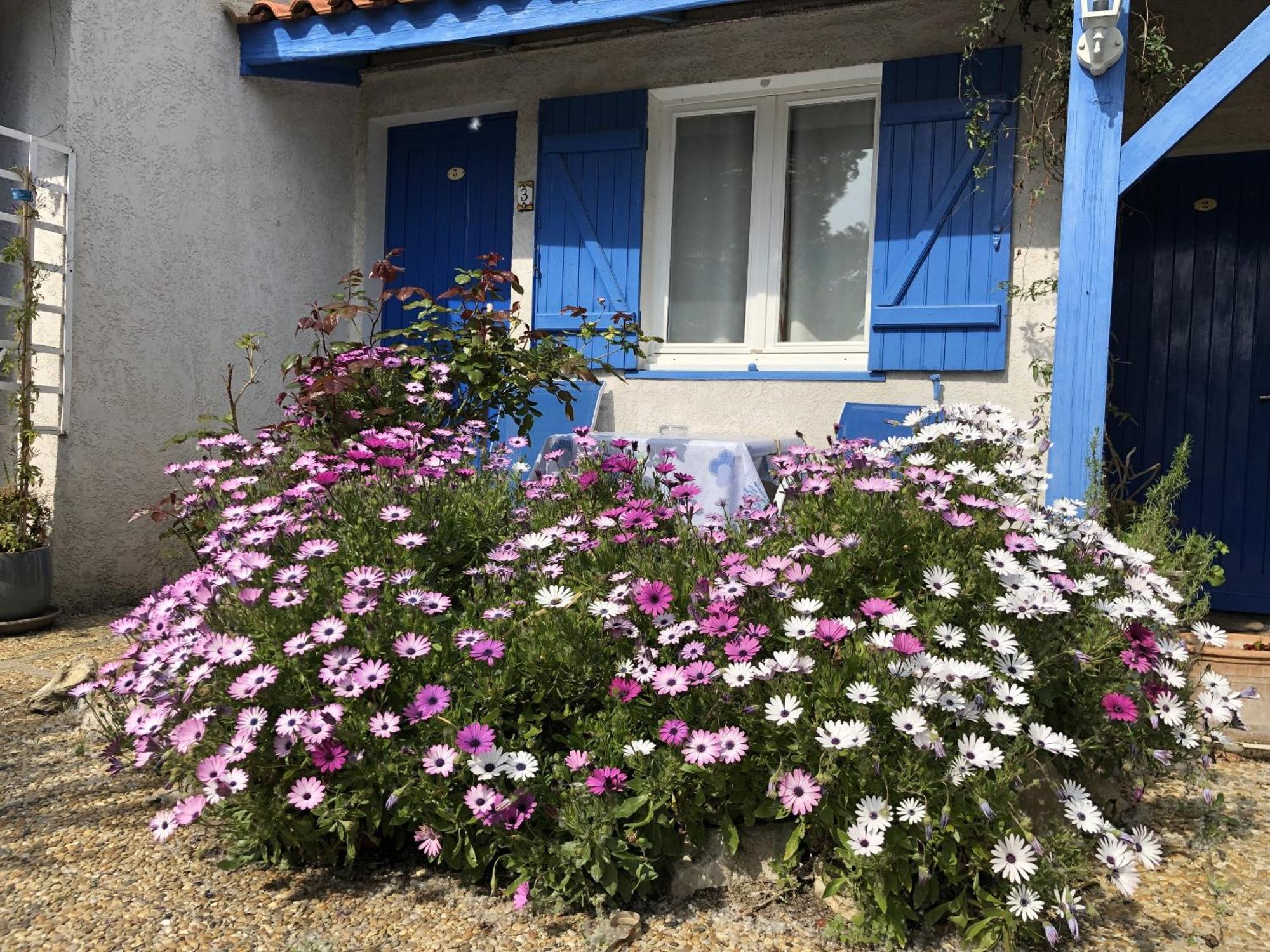 Des 4 Vents 3* Aigues-Mortes